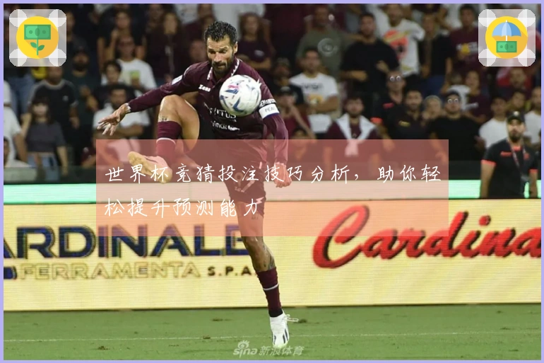 世界杯竞猜投注技巧分析，助你轻松提升预测能力