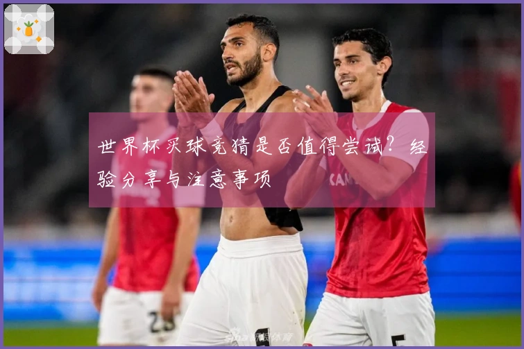 世界杯买球竞猜是否值得尝试？经验分享与注意事项