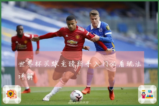 世界杯买球竞猜新手入门必看玩法详解