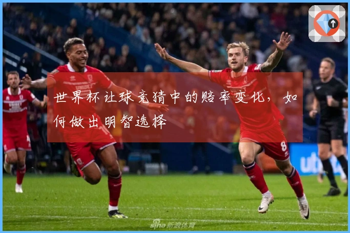 世界杯让球竞猜中的赔率变化，如何做出明智选择