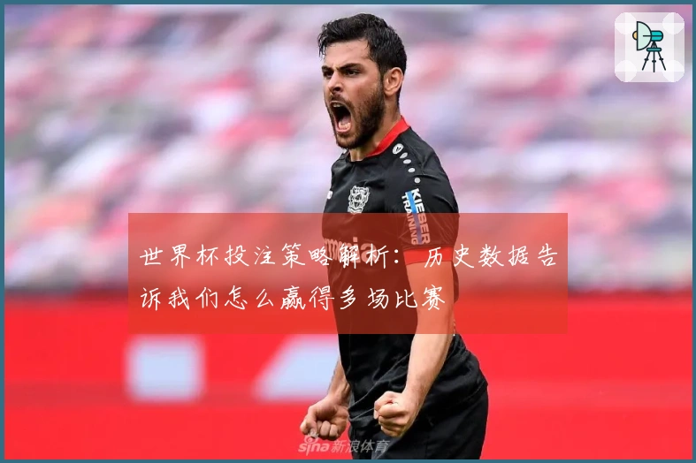 世界杯投注策略解析：历史数据告诉我们怎么赢得多场比赛
