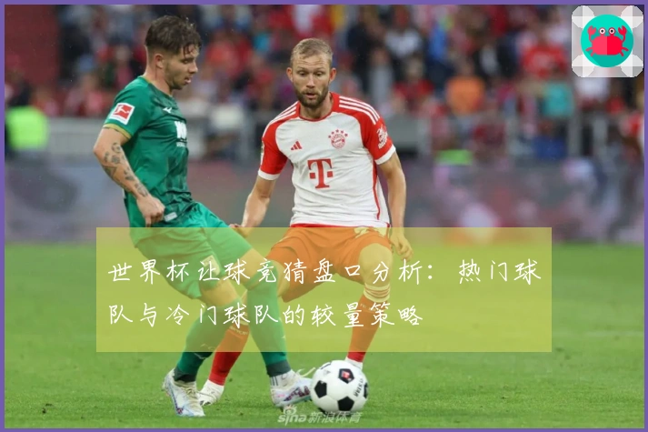 世界杯让球竞猜盘口分析：热门球队与冷门球队的较量策略