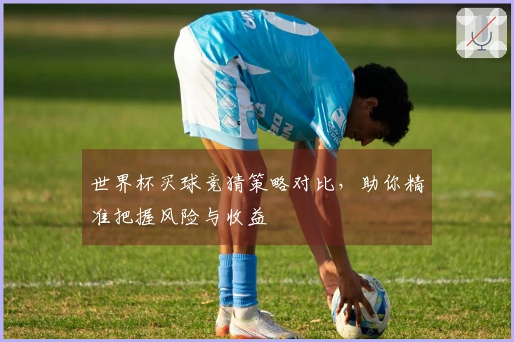 世界杯买球竞猜策略对比，助你精准把握风险与收益