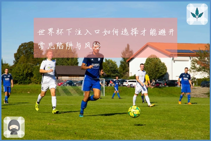 世界杯下注入口如何选择才能避开常见陷阱与风险