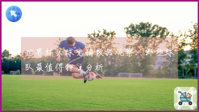 世界杯买球竞猜数据观察：哪些球队最值得押注分析