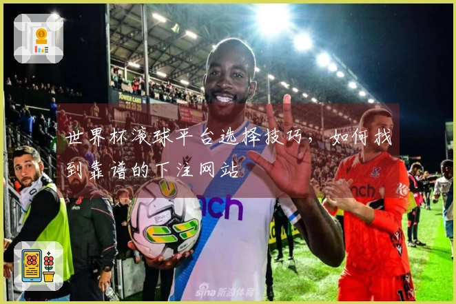 世界杯滚球平台选择技巧，如何找到靠谱的下注网站