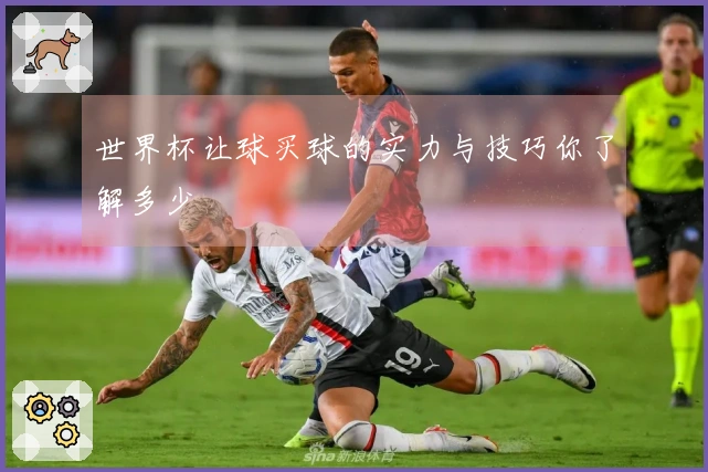 世界杯让球买球的实力与技巧你了解多少