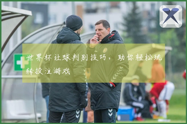 世界杯让球判别技巧，助你轻松玩转投注游戏