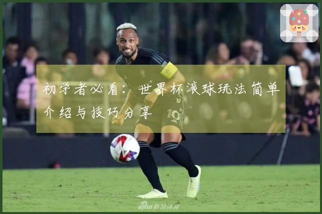 初学者必看：世界杯滚球玩法简单介绍与技巧分享