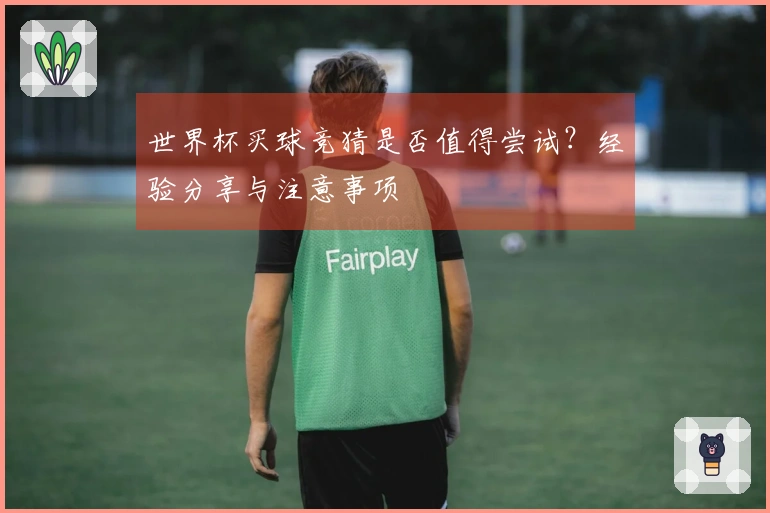 世界杯买球竞猜是否值得尝试？经验分享与注意事项