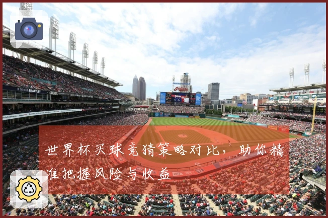 世界杯买球竞猜策略对比，助你精准把握风险与收益