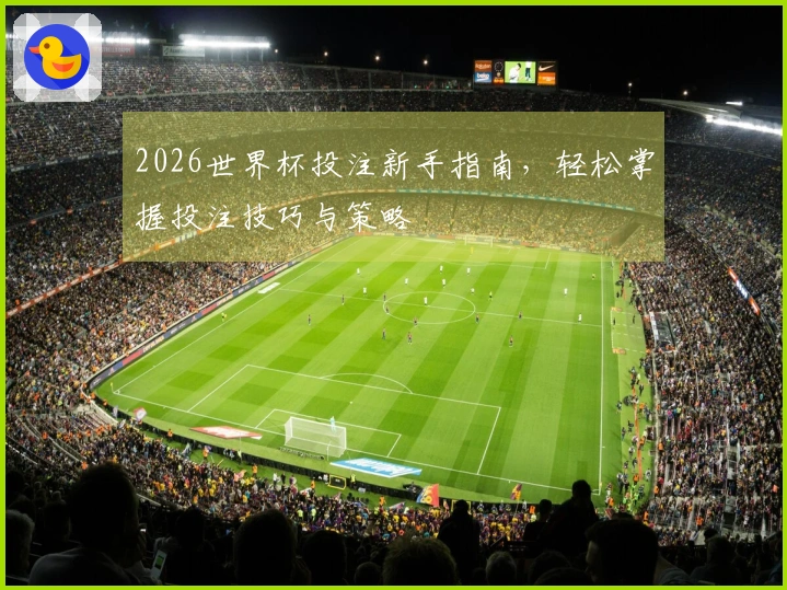 2026世界杯投注新手指南，轻松掌握投注技巧与策略