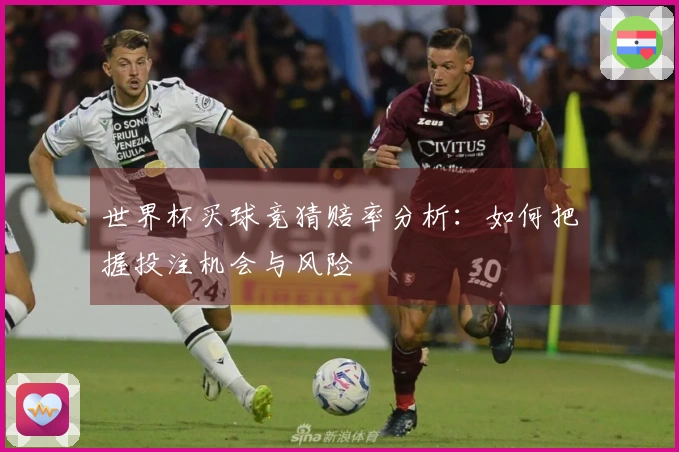 世界杯买球竞猜赔率分析：如何把握投注机会与风险