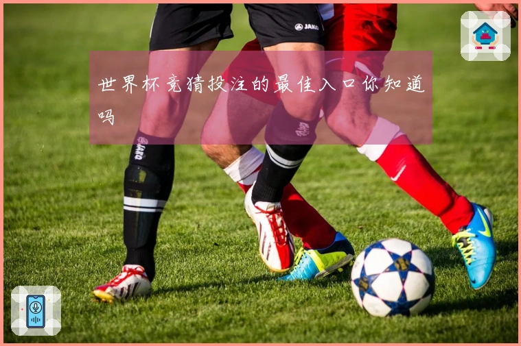 世界杯竞猜投注的最佳入口你知道吗