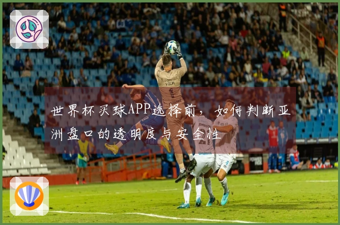 世界杯买球APP选择前，如何判断亚洲盘口的透明度与安全性