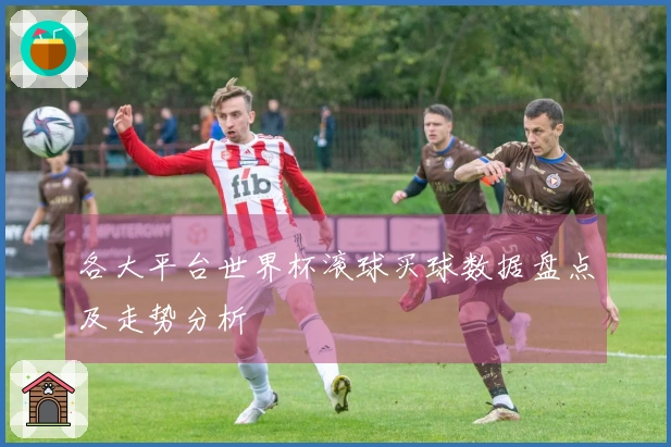 各大平台世界杯滚球买球数据盘点及走势分析