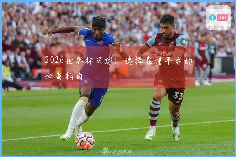 2026世界杯买球：选择靠谱平台的必备指南